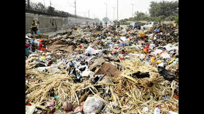 ‘Waste dumping and burning top polluting activities’