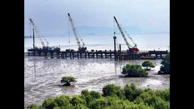 Mumbai-Trans Harbour Link: 60% of trees to be transplanted