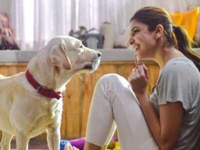 Anushka Sharma launches #JusticeForAnimals campaign for stricter laws against animal cruelty