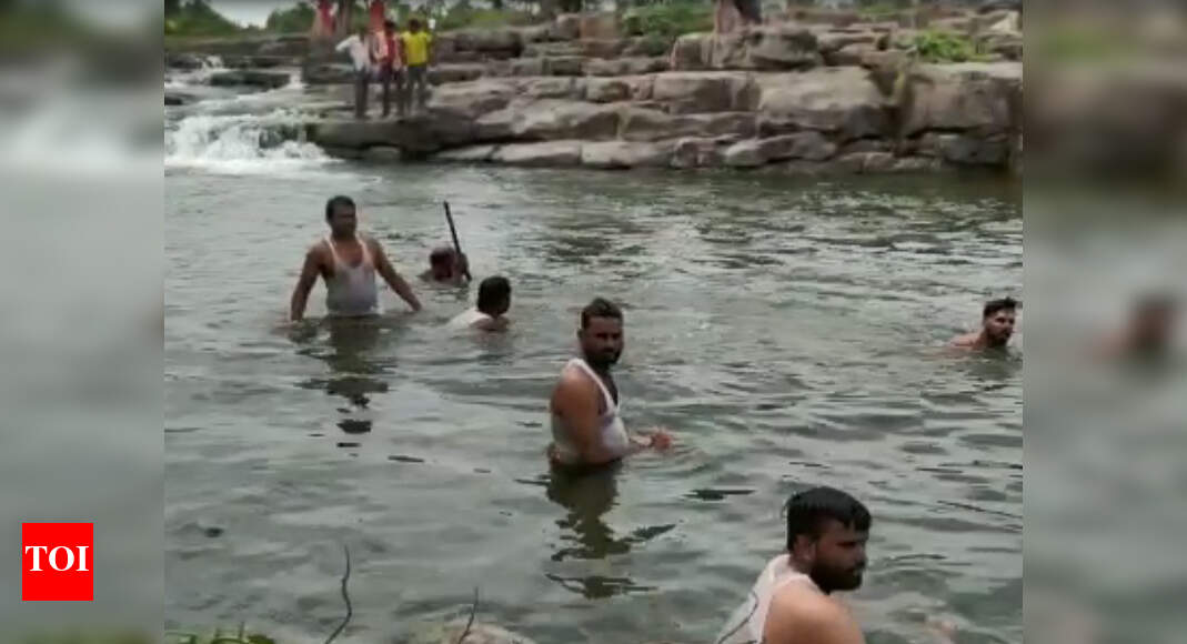 Madhya Pradesh: 2 drown in pond in Mandsaur district | Indore News ...