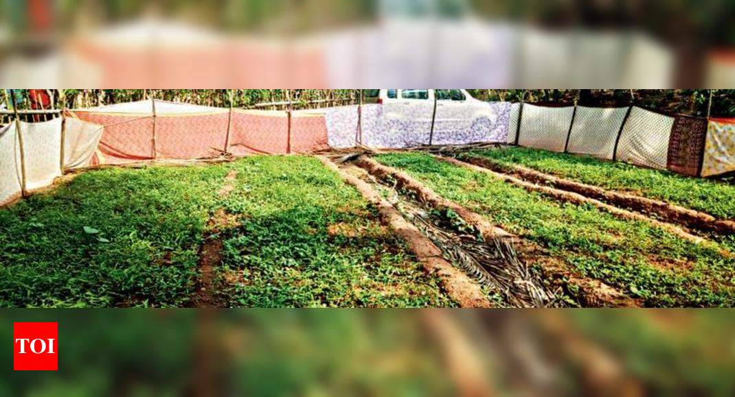 Kasaragod Proposes Bamboo Model To Prevent Soil Erosion Kozhikode News Times Of India