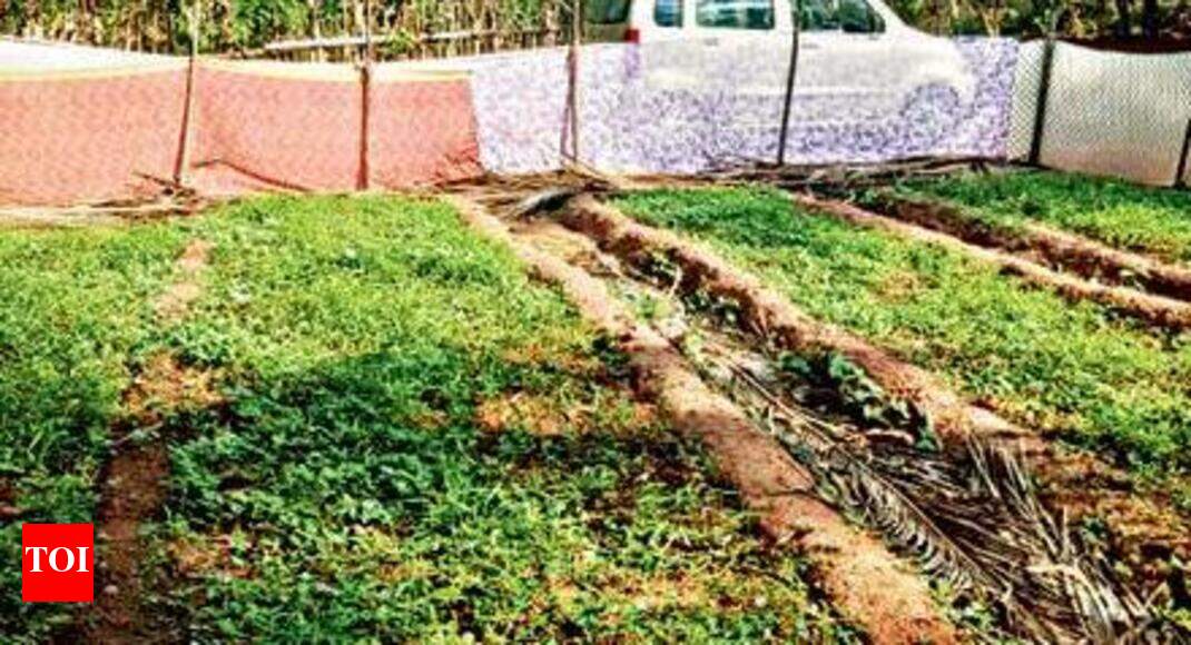 Kasaragod proposes bamboo model to prevent soil erosion Kozhikode