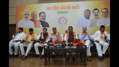 3cr new members in BJP, says Chouhan