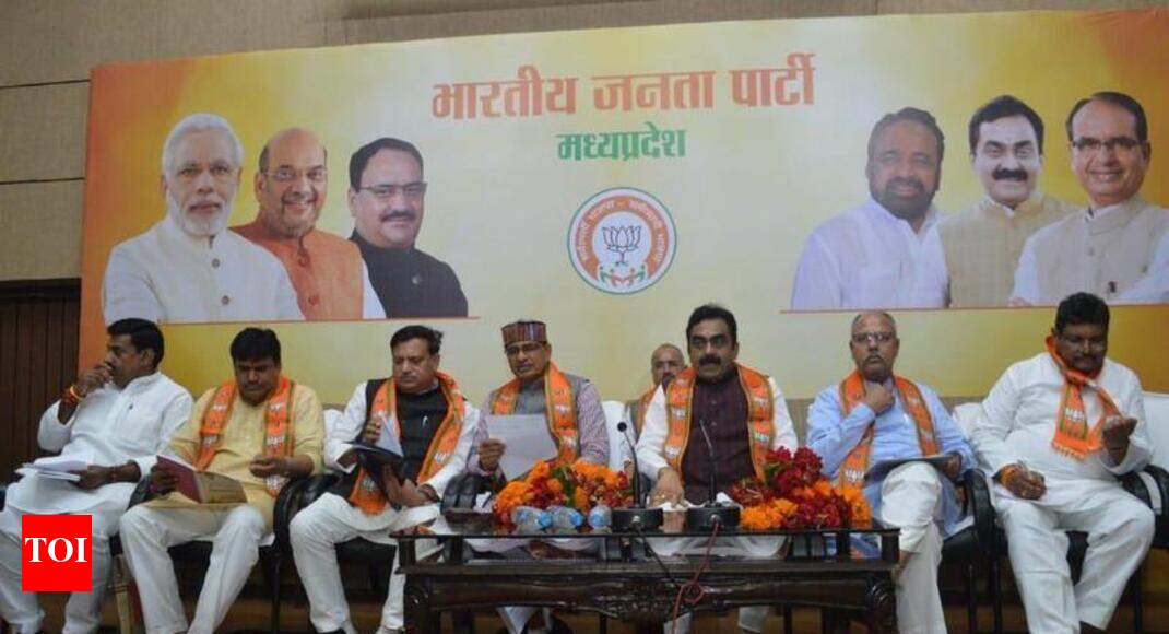 3cr new members in BJP, says Chouhan - Times of India