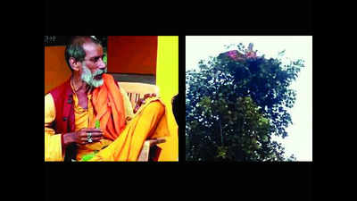 ‘Bandariya Baba’ on tree keeps Bahraich cops on toes