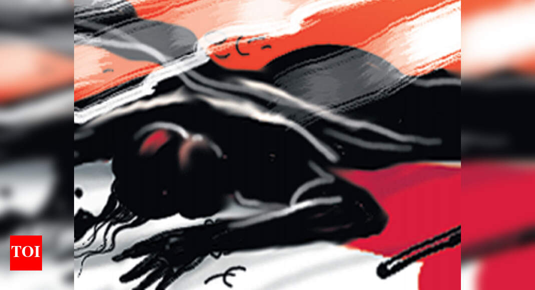 Tamil Nadu: Man murders sister over property dispute | Chennai News ...