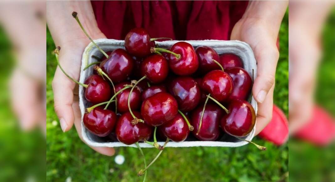 Cherries For Sleep Fruit That Helps You Sleep Better