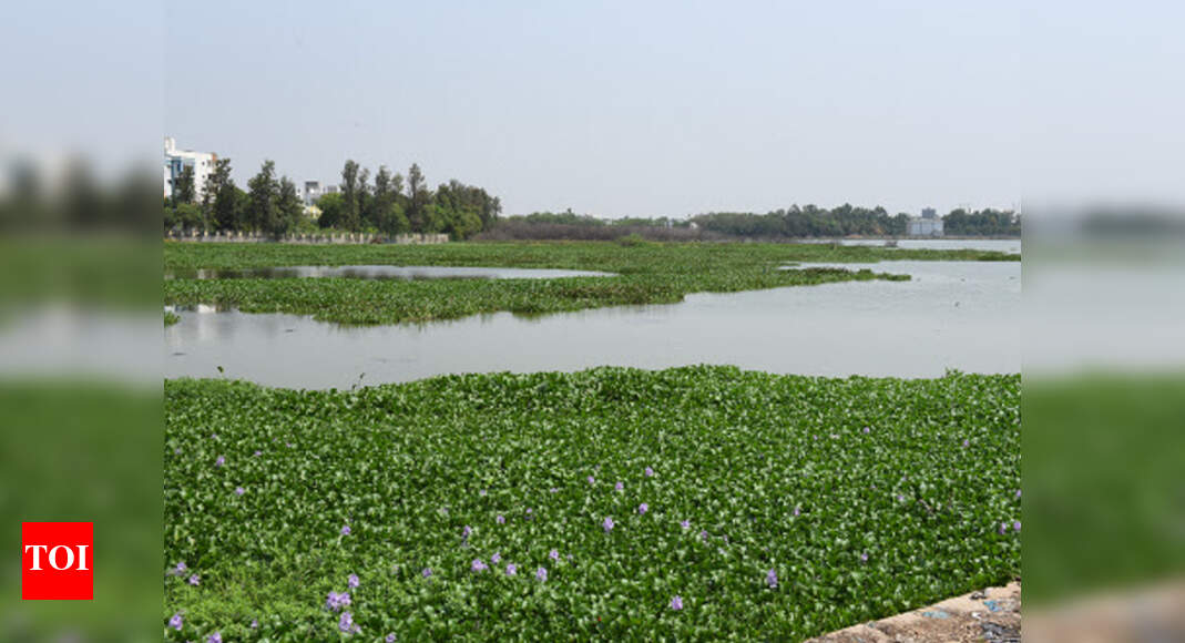 Custody war hitch for Kapra Lake revamp Hyderabad News Times of India