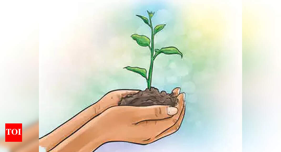 ‘Grow more trees to make the world a healthy place to live’ | Trichy