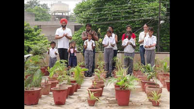 Amritsar: Youth for Global Peace and Transformation to plant 7300 saplings to mark Independence Day