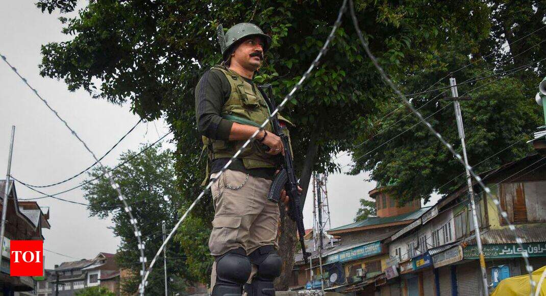 I-Day: Army, BSF put on high alert along LoC