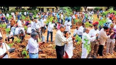 NIT Warangal students plant 2,000 saplings to create Miyawaki forest
