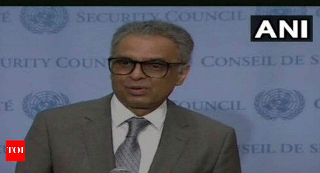 Did India take down Pakistan 14-1 at United Nations Security Council?