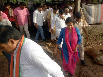 MP government wakes up after 1,000 cow deaths in gaushala | Bhopal News - Times of India MP government wakes up after 1,000 cow deaths in gaushala | Bhopal News - Times of India