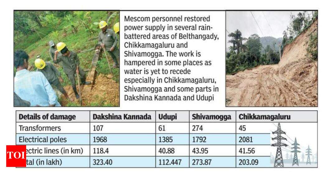 Mescom incurs Rs 9cr loss in a fortnight | Mangaluru News - Times of India