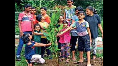 Villivakkam residents set example by planting, adopting 130 saplings at park