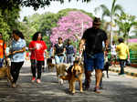 What makes Bengaluru a street photographer’s delight