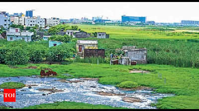 Over 100 acres of Chennai’s Pallikaranai marshland encroached up on by central govt buildings, IT parks
