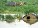 Flood alert in Delhi as Yamuna crosses 'warning mark'