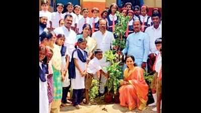 Green challenge: Netas plant saplings