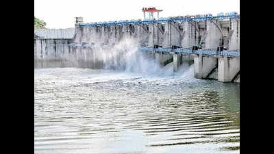 Bisalpur Dam full, administration opens 2 gates to release water