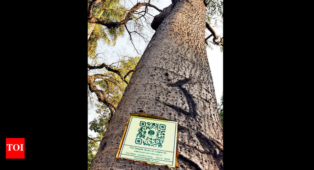 6,000 trees in NDMC area to get QR codes | Delhi News - Times of India