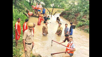 HP: Debris block water flow, create artificial lake