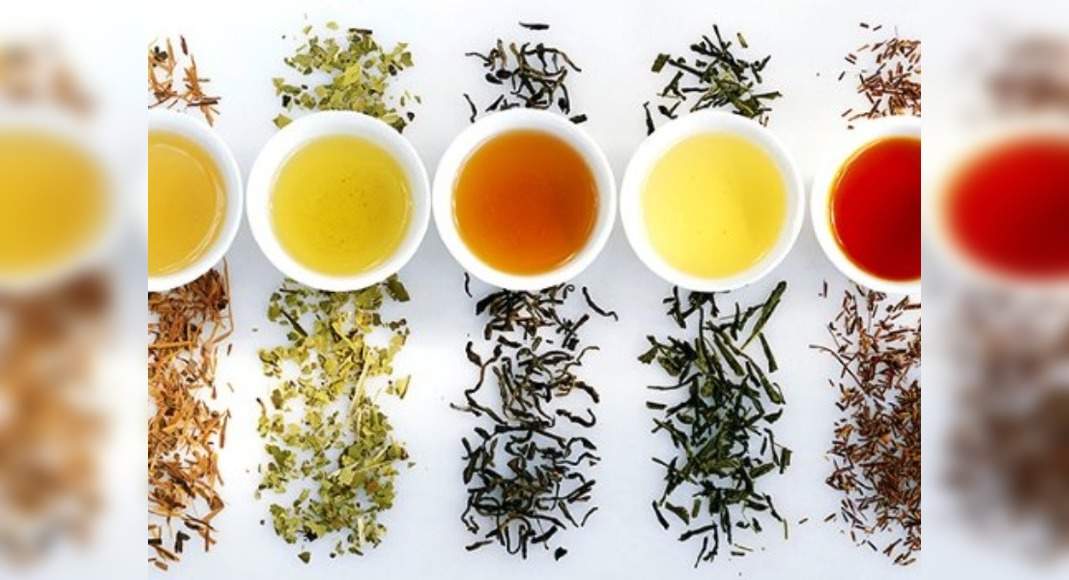 Best Teas For Digestion And Gut Health