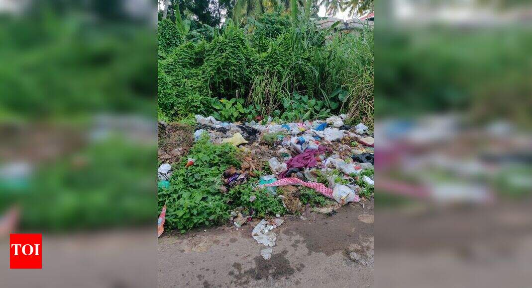 Once a beautiful pond,now garbage dump yard Times of India