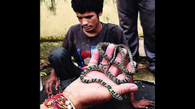 Youth from West Bengal held in Bhubaneswar with rare ‘flying snake’