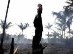 Amazon rainforest of Brazil is burning at a record rate​, fire is even seen from the Space