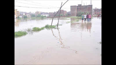UP: Flood situation stable in Varanasi