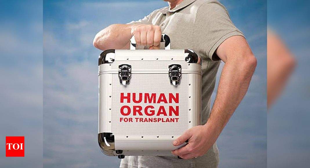 Organ donation: 'Medical professionals should organize awareness ...