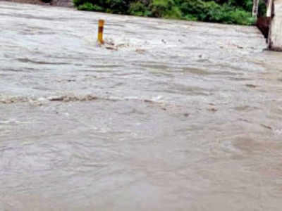 Pakistan opens headworks gates, 17 villages of Punjab's Ferozepur flooded
