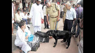 Sniffer dogs to track drugs, phones in Jaipur jail