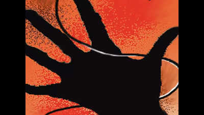 Panchkula: Crook with hook gets electrician killed