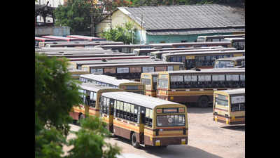 Tamil Nadu to operate 200 special buses for annual Velankanni festival