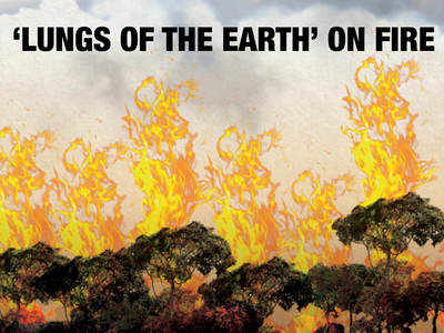 World's largest rainforest is burning