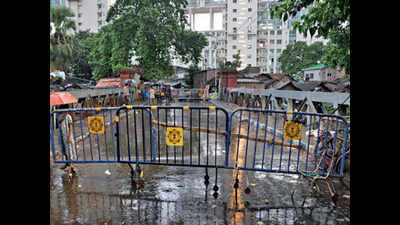 Kolkata: Chetla, Chitpore bridges beyond repair; Kalighat pillars corroded