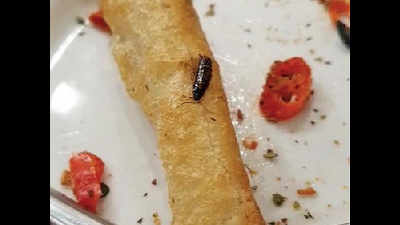 Cockroach found in pizza