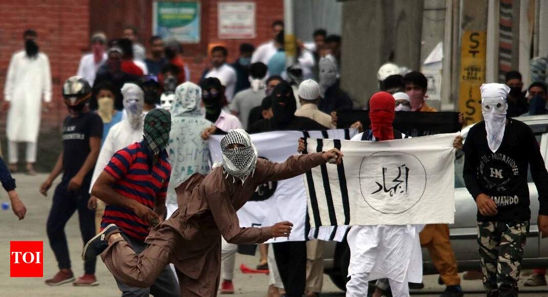 220 stone-pelting cases in Srinagar since Aug 5
