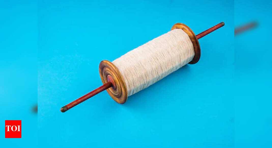 Delhi Kite string kills girl on her way to temple Delhi News Times