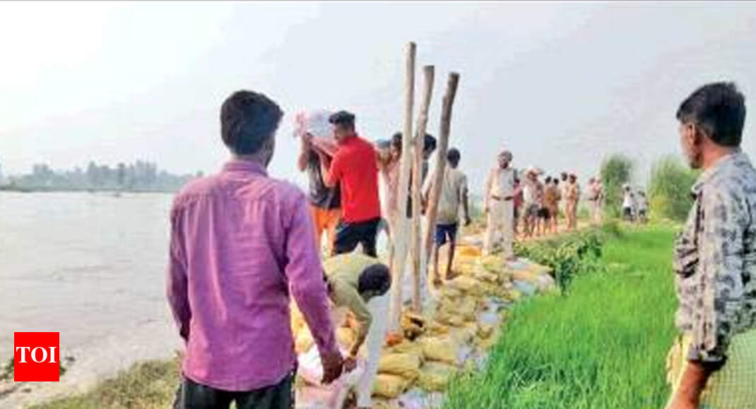 Pakistan floods Satluj with dirty water