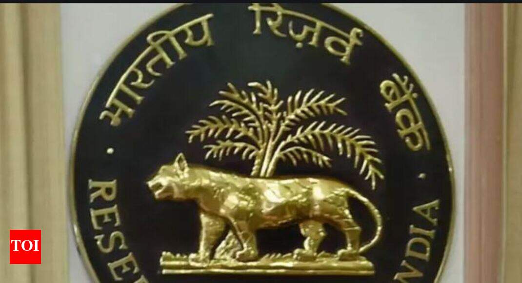 What are RBI&rsquo;s surplus funds, where do reserves come from?