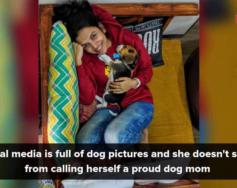 
Mitali Mayekar shows she is a complete dog person

