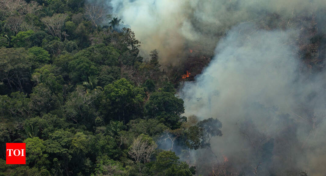 Why burning Amazon can choke the world