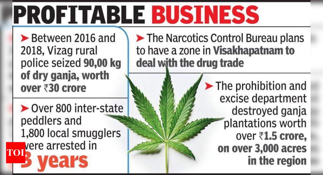 Ganja Prices Rise On The Back Of Increased Demand Smuggling Visakhapatnam News Times Of India