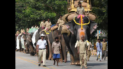 At 5,800kg, Arjuna outweighs all other Dasara jumbos