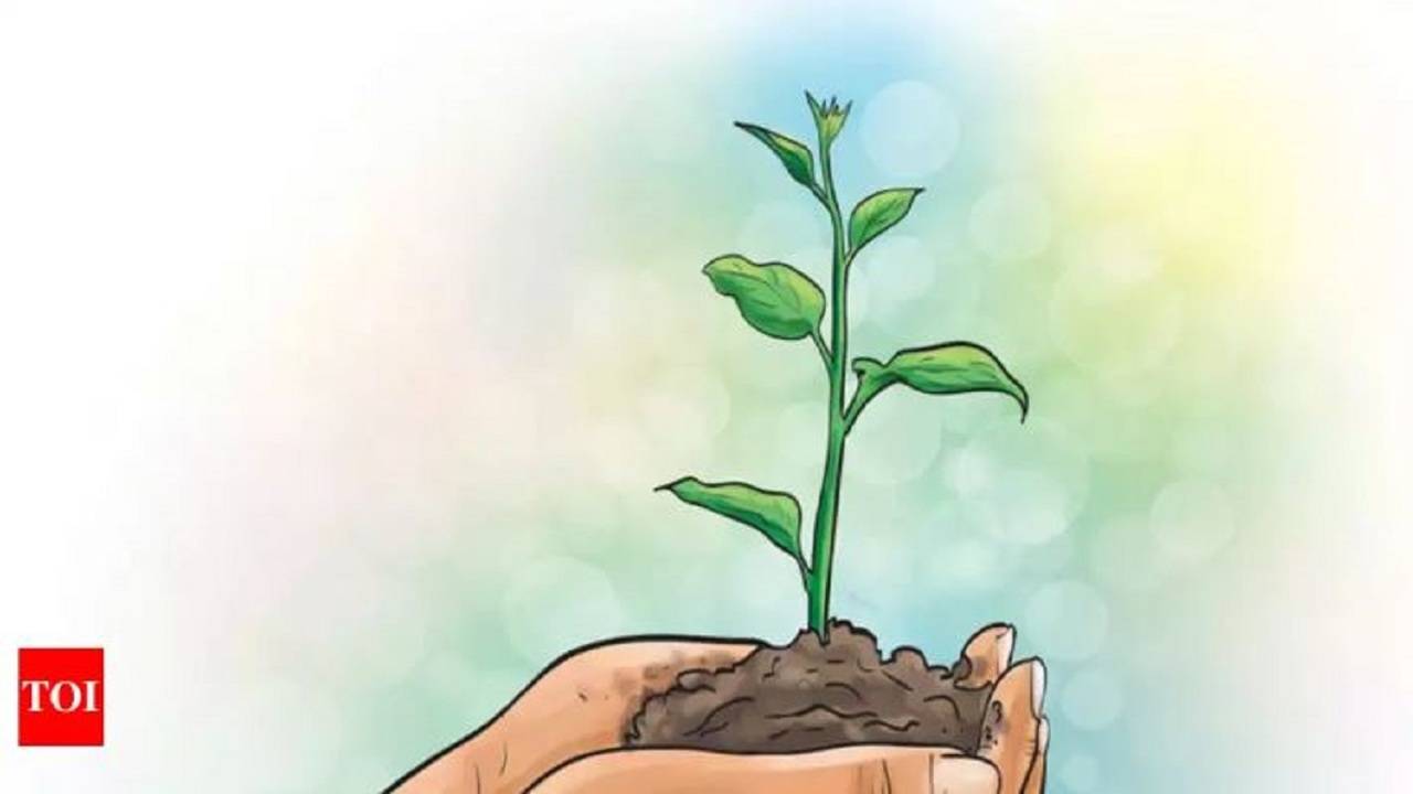 340+ People Planting Trees Drawing Stock Illustrations, Royalty-Free Vector  Graphics & Clip Art - iStock
