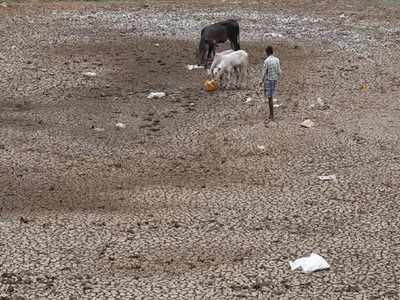 Not just El Nino, pollution too worsening droughts: Study